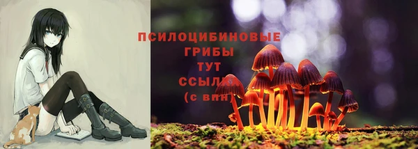 mdpv Нефтекумск