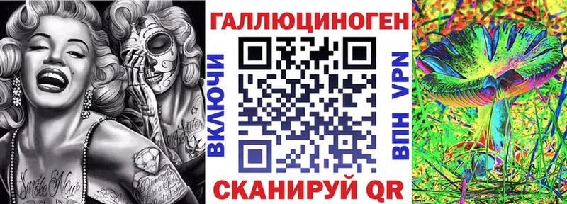 omg ONION  Менделеевск  Галлюциногенные грибы Magic Shrooms 